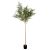 ARBORE DE MASLIN 240 CM