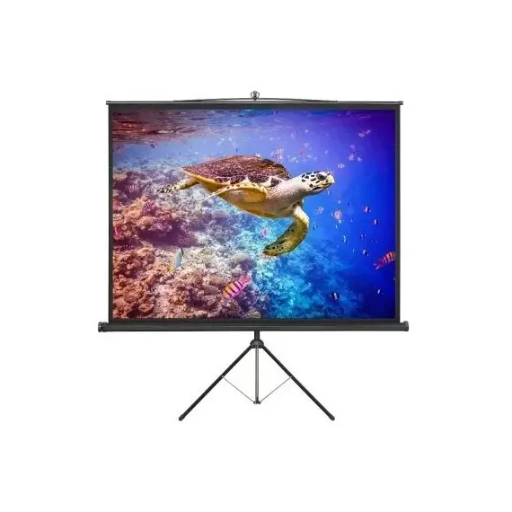 ECRAN CU STATIV REFLECTA CRYSTAL-LINE, 1:1