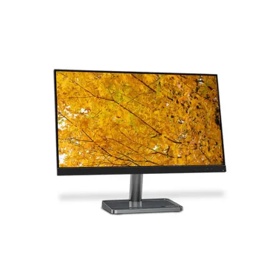 МОНИТОР ОФИСНЫЙ LENOVO L24I-30 23,8", IPS 1920X1080 FHD, ЧЁРНЫЙ