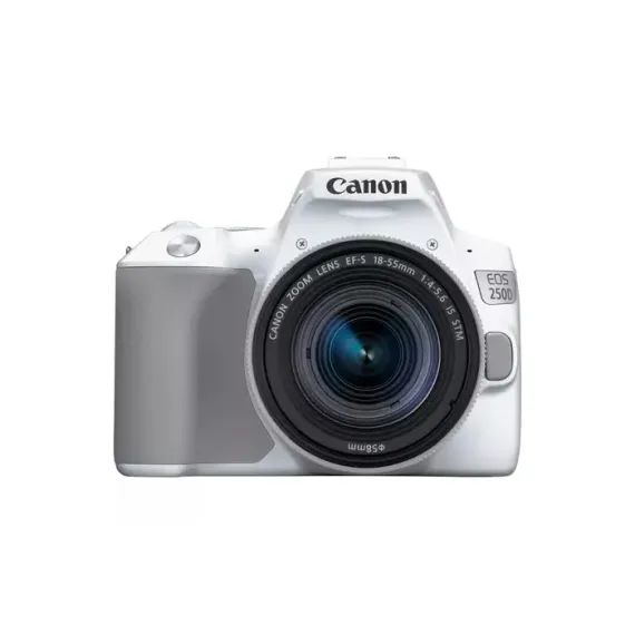 APARAT FOTO DSLR CANON EOS 250D + EF-S 18-55 IS, ALB