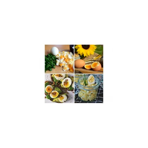 ПАРОВАРКА ДЛЯ ЯИЦ 500 ВТ FIRST 005115-3