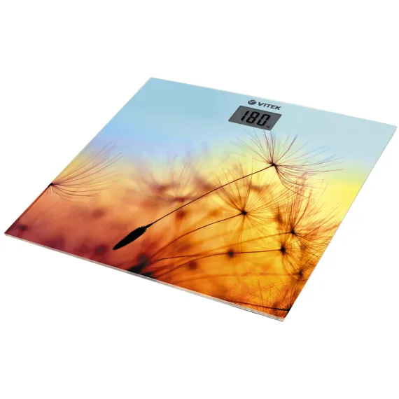 НАПОЛЬНЫЕ ВЕСЫ VITEK VT-8057