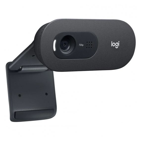LOGITECH BUSINESS HD WEBCAM C505 HD 720P/30FPS VIDEO CALLS & RECORDING,