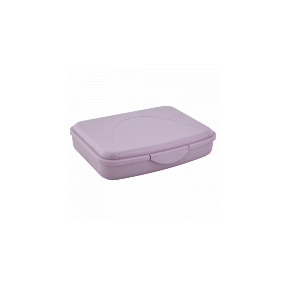 168017 CONTAINER UNIVERSAL DE DEPOZITARE ALEANA M, 1.2L, 19X14X4.5 CM