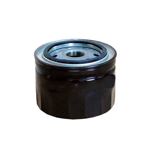 МАСЛЯНЫЙ ФИЛЬТР CHAMPION E 107/606 (OP 592/8)-(SM 1084)