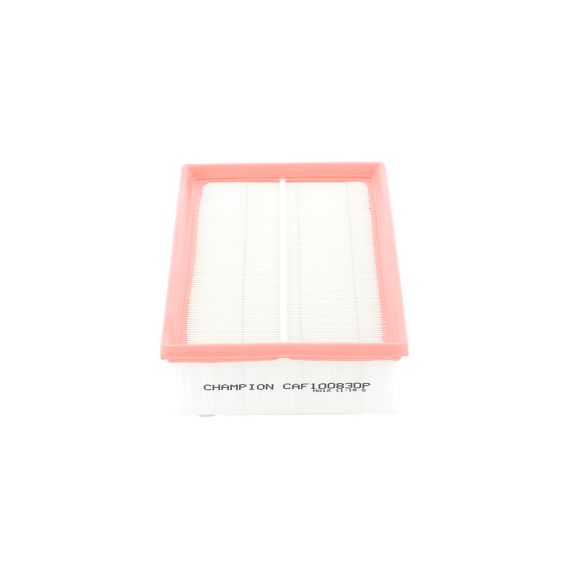 ВОЗДУШНЫЙ ФИЛЬТР CHAMPION CAF 100830P (AP 074/6)