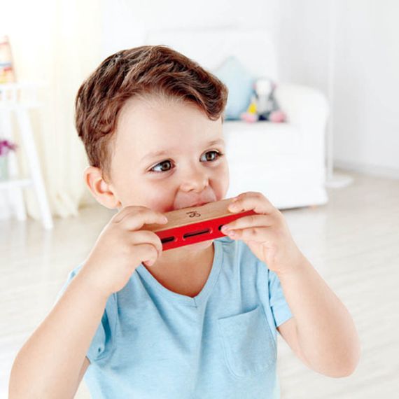 HAPE E0616A ГАРМОШКА BLUES HARMONICA
