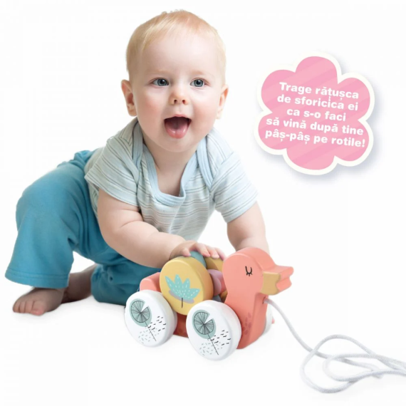 NORIEL BEBE INT4586 ИГРУШКА RATUSCA PE ROTILE