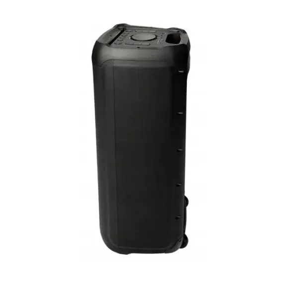 ПОРТАТИВНАЯ КОЛОНКА BLAUPUNKT PB12DB, ЧЁРНЫЙ