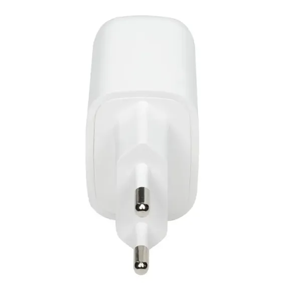 INCARCATOR RIVACASE PS4191 WD4, 20W, ALB