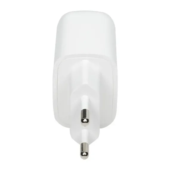 INCARCATOR RIVACASE PS4192 W00, 20W, ALB