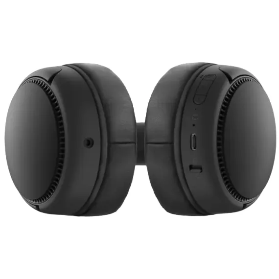 НАУШНИКИ PANASONIC RB-M300BGE, ЧЁРНЫЙ