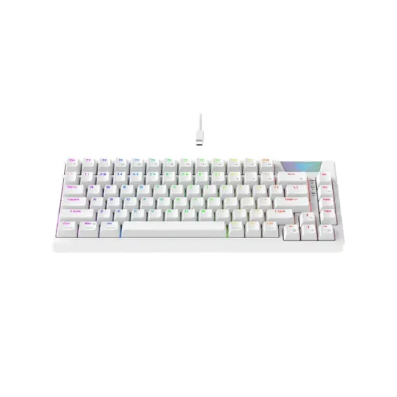 TASTATURA HAVIT KB884L, CU FIR, ALB/ALBASTRU