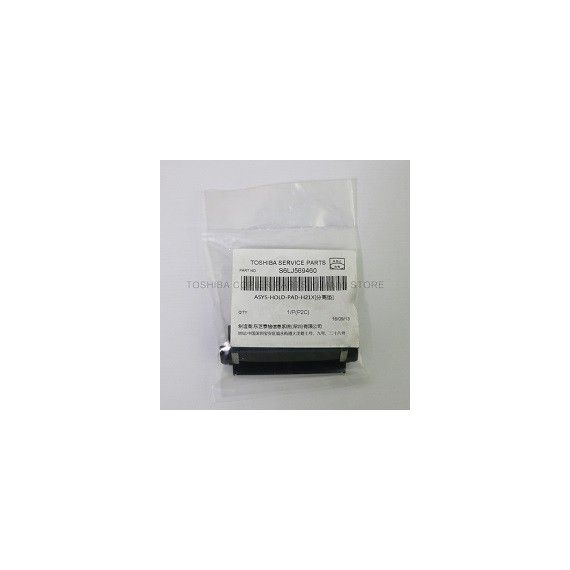 TOSHIBA ASYS-HOLD-PAD-H21X
