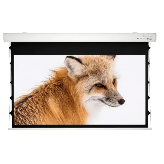 ЭЛЕКТРИЧЕСКИЙ ЭКРАН SOPAR TAURUS 53355ZT, 158", 16:10