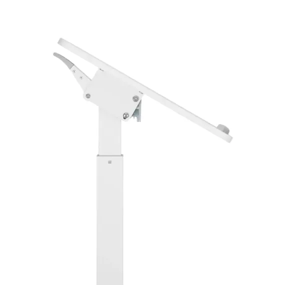 СТОЛ ДЛЯ НОУТБУКА DINO MWS600, БЕЛЫЙ