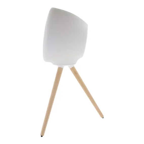 ПОРТАТИВНАЯ КОЛОНКА MUSE ML-655 BT, БЕЛЫЙ