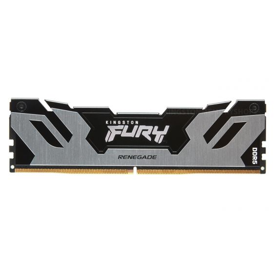 ОПЕРАТИВНАЯ ПАМЯТЬ KINGSTON FURY(R) RENEGADE SILVER DDR5-6000 32ГБ