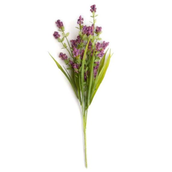 RAMURA DECORATIVA LEVANTICA