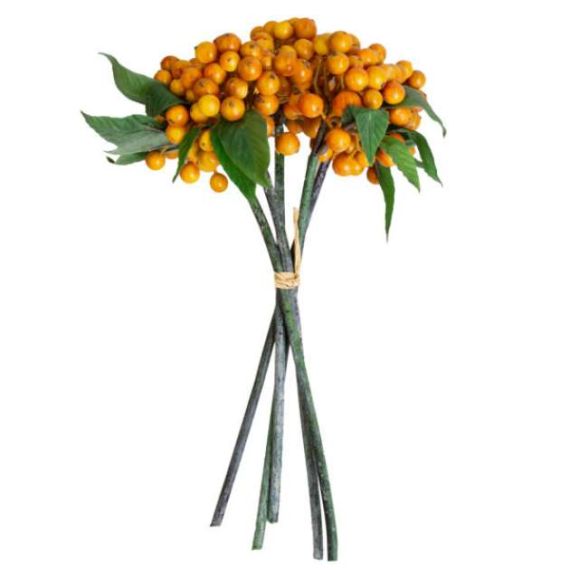 FLOARE ARTIFICIALA PIRACANTA