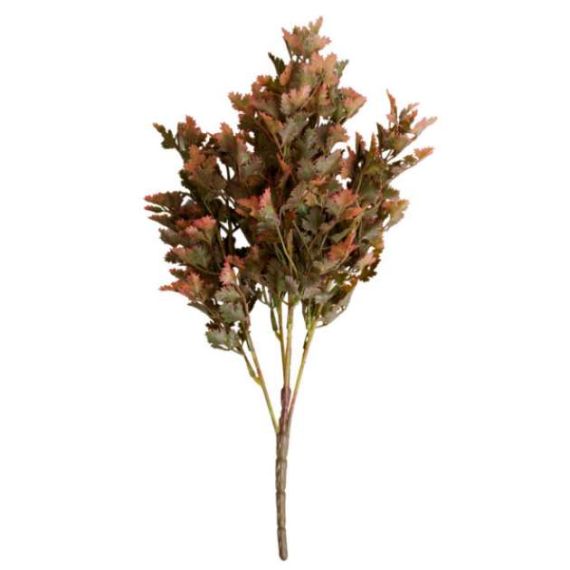 ARBUST DECORATIV DE TOAMNA