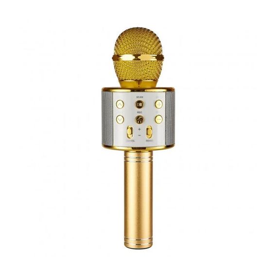 ПОРТАТИВНЫЙ МИКРОФОН-КАРАОКЕ-КОЛОНКА HELMET HANDHELD KTV, ЗОЛОТОЙ