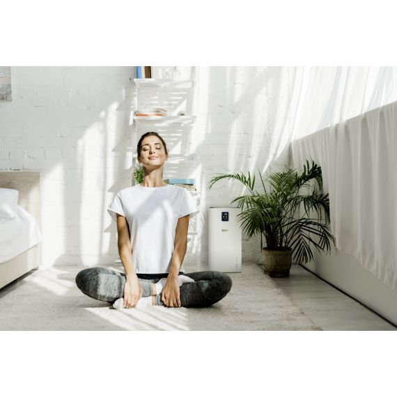 PURIFICATOR AER AF 50 SIGNATURE LINE