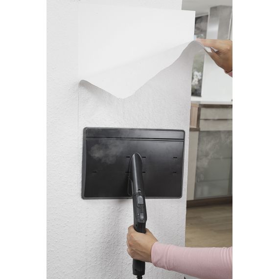 DISPOZITIV DE INDEPARTAT TAPETUL