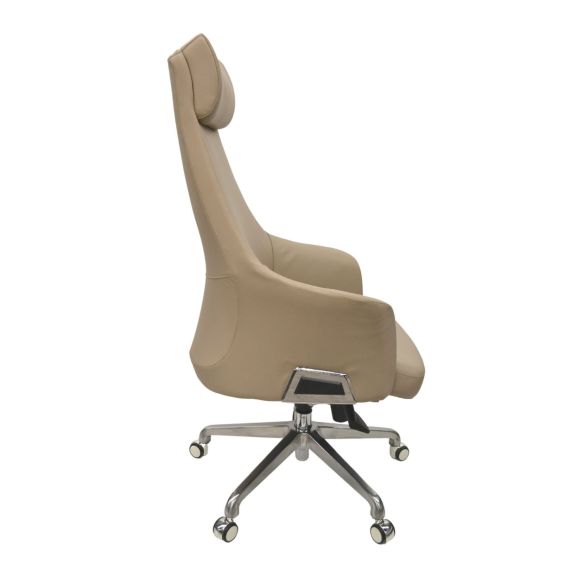 FOTOLIU BIROU POLARD BROWN LIGHT