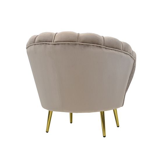 FOTOLIU MAGGIE CAMEL