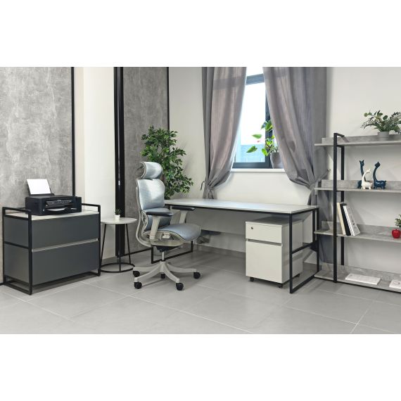 FOTOLIU DE BIROU DELANO GREY