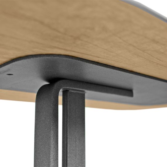 MĂSUȚĂ NOTEBOOK TARO