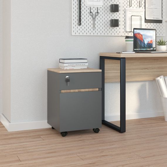 CASETIERĂ ROLLBOX RIO SONOMA/ANTHRACITE