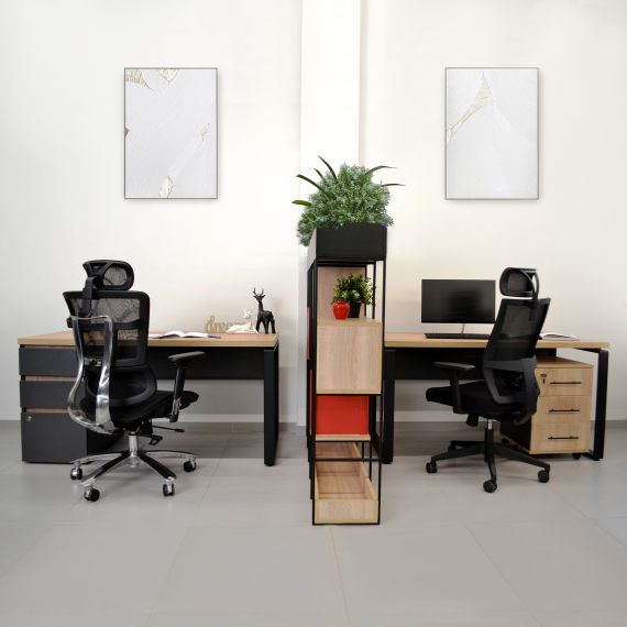 CASETIERĂ ROLLBOX SONOMA/ANTHRACITE