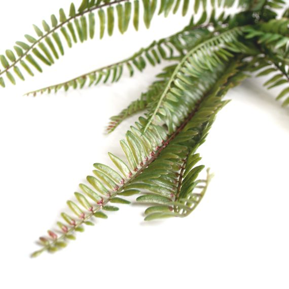 RAMURA DECORATIVA DE FERIGA