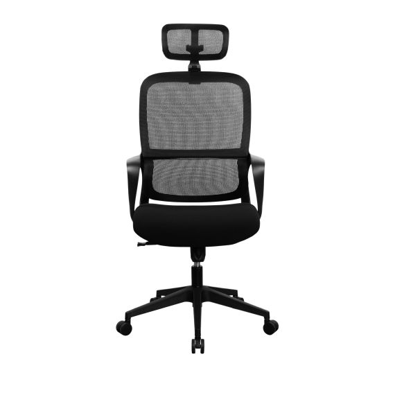 FOTOLIU BIROU ZAC BLACK