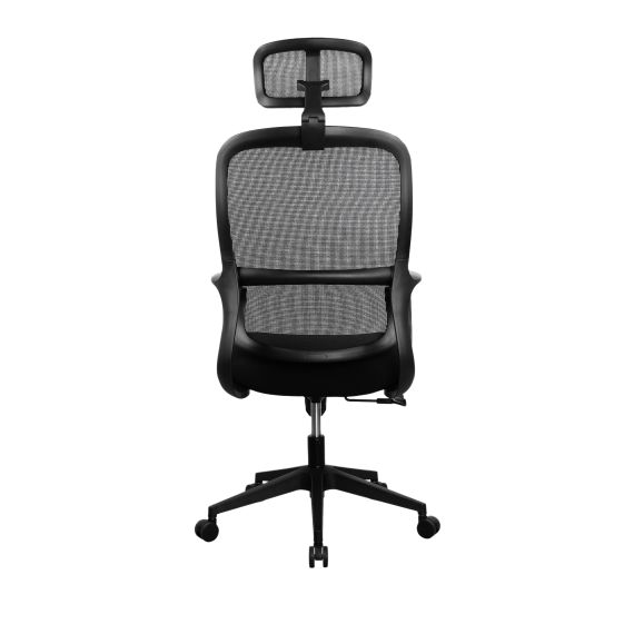 FOTOLIU BIROU ZAC BLACK