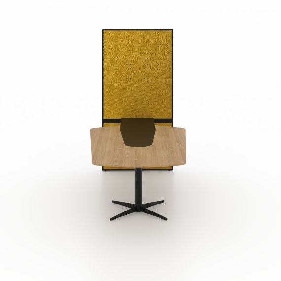 MASA CONFERINTA CU PANOU