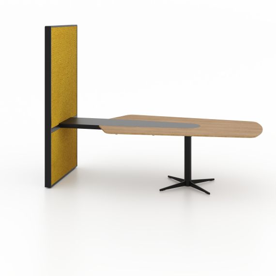 MASA CONFERINTA CU PANOU