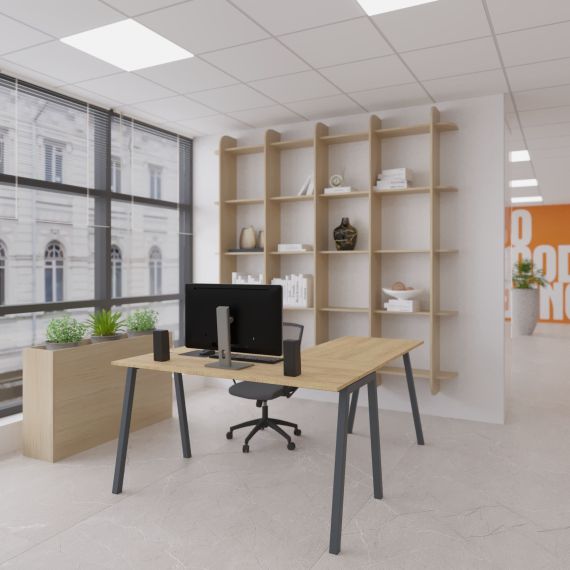 CADRU AKITA ANEXA 1000X600