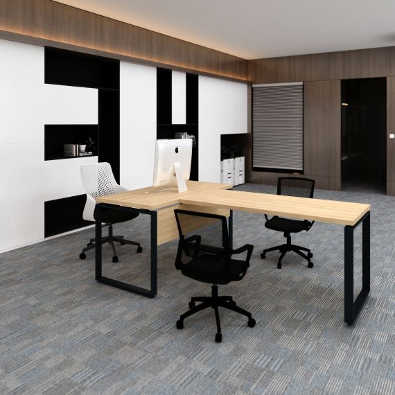 CADRU ANEXA 1000X680 (PT B-140)