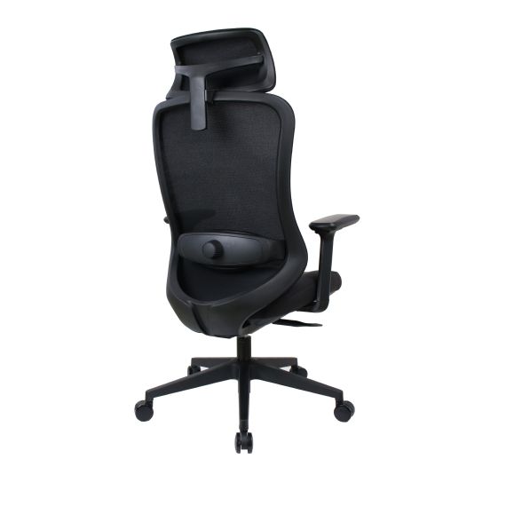 FOTOLIU BIROU PALMER BLACK