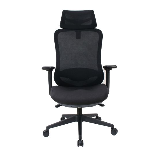 FOTOLIU BIROU PALMER BLACK