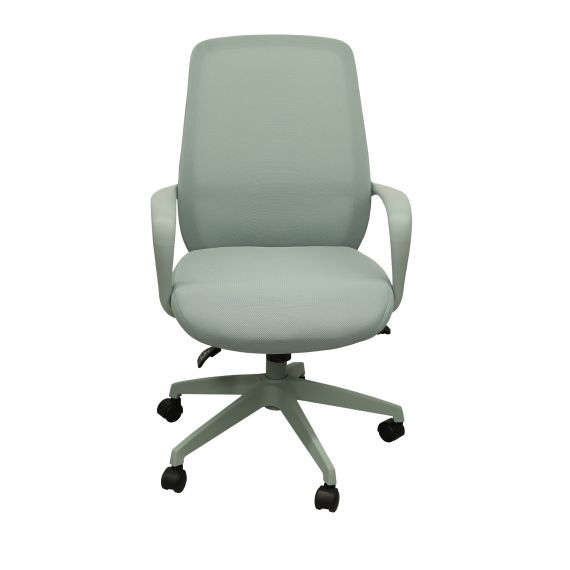 FOTOLIU BIROU GRANT MINT