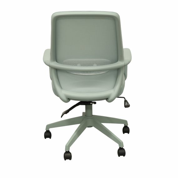 FOTOLIU BIROU GRANT MINT