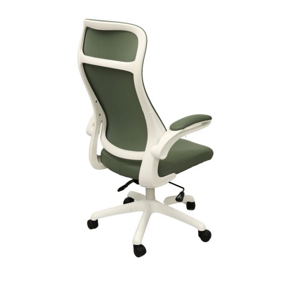 FOTOLIU BIROU LUIS GREEN