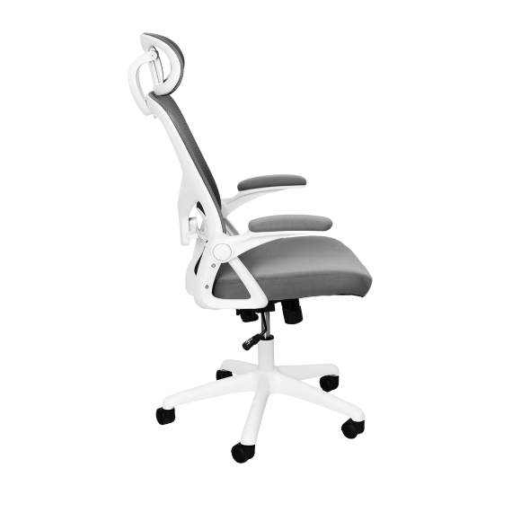 FOTOLIU BIROU HORUS GREY