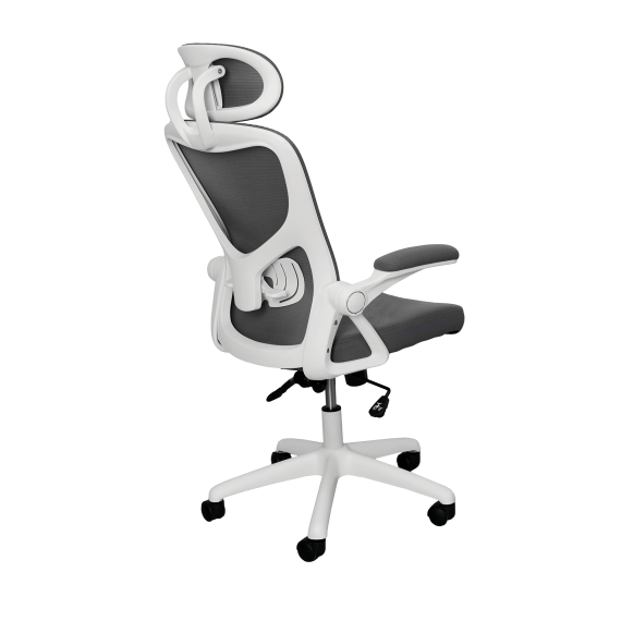 FOTOLIU BIROU HORUS GREY