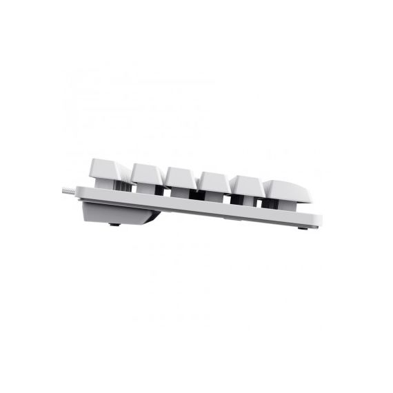 ИГРОВАЯ КЛАВИАТУРА TRUST GXT 833W THADO TKL, USB, WHITE