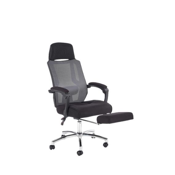 FOTOLIU FREEMAN CU SUPORT PENTRU PICIOARE (NEAGRA/GRI)